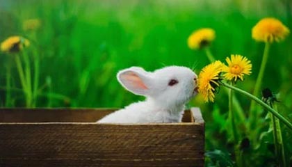 启东伴游,定制QQ:3494206190微信:act1322